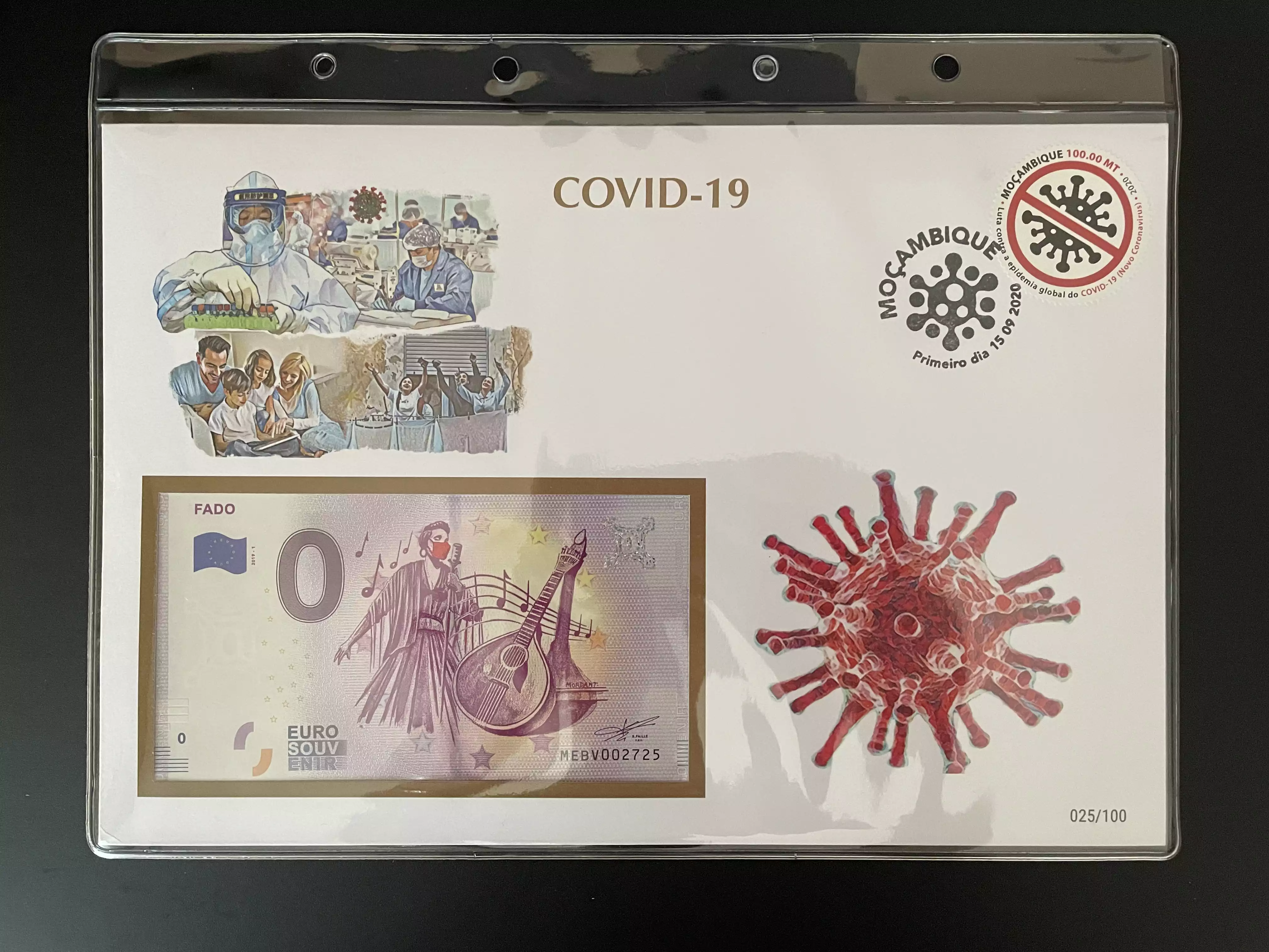 Official Euro Souvenir Cover - COVID-19